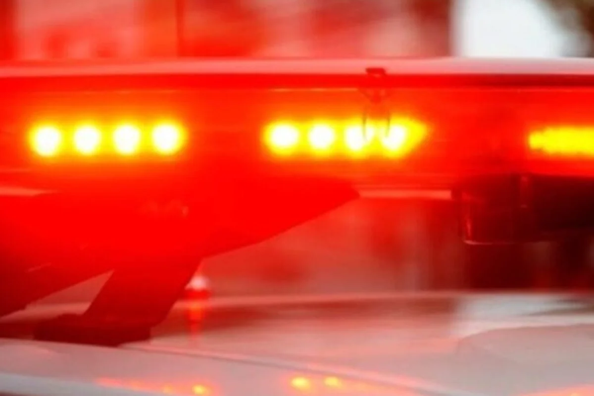 5a0b53c2 Sirene 5.webp