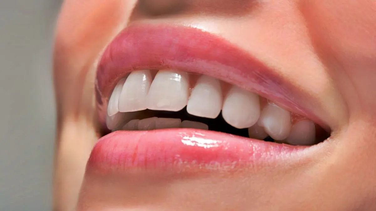 662c637e Whatsapp Image 2025 12 30 At 14.42.41 1