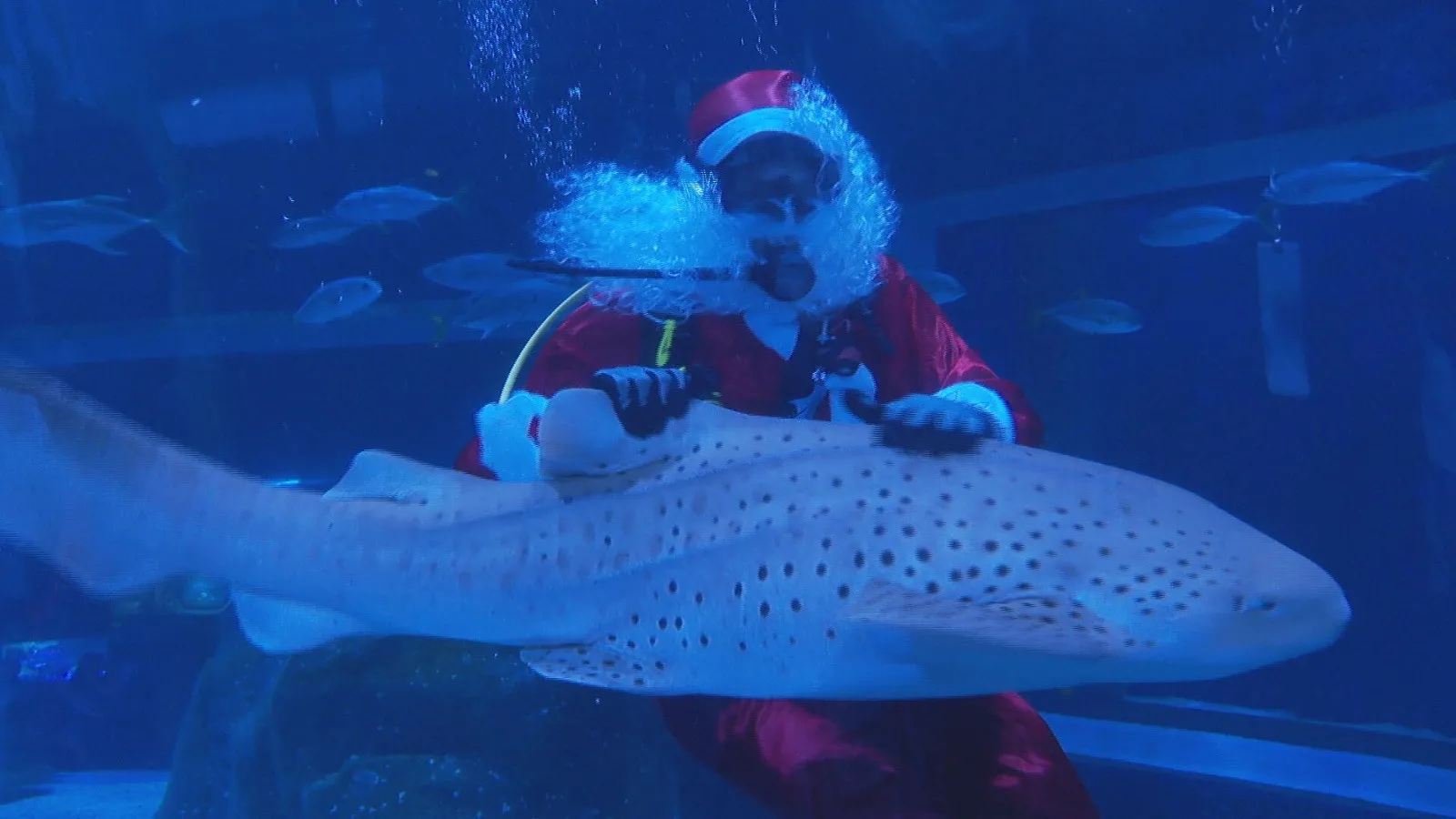 Whatsapp Image 2025 12 24 At 14.31.53