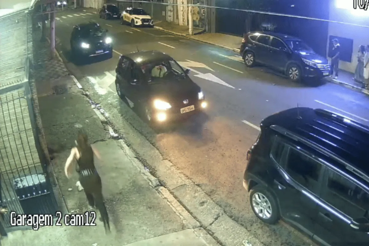 1536444f Nina Baiocchi 1 1