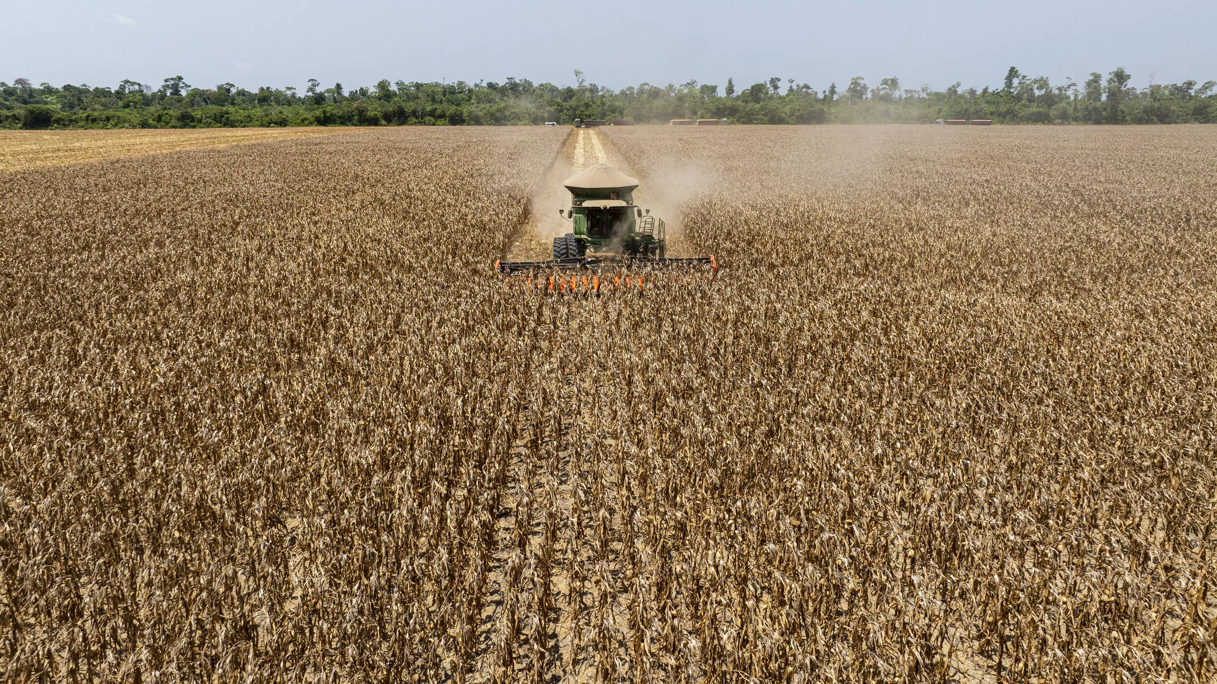 1728945544670d9d8829dfd 1728945544 3x2 Rt