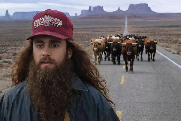 17692941716975495b3eabf 1769294171 3x2 Md