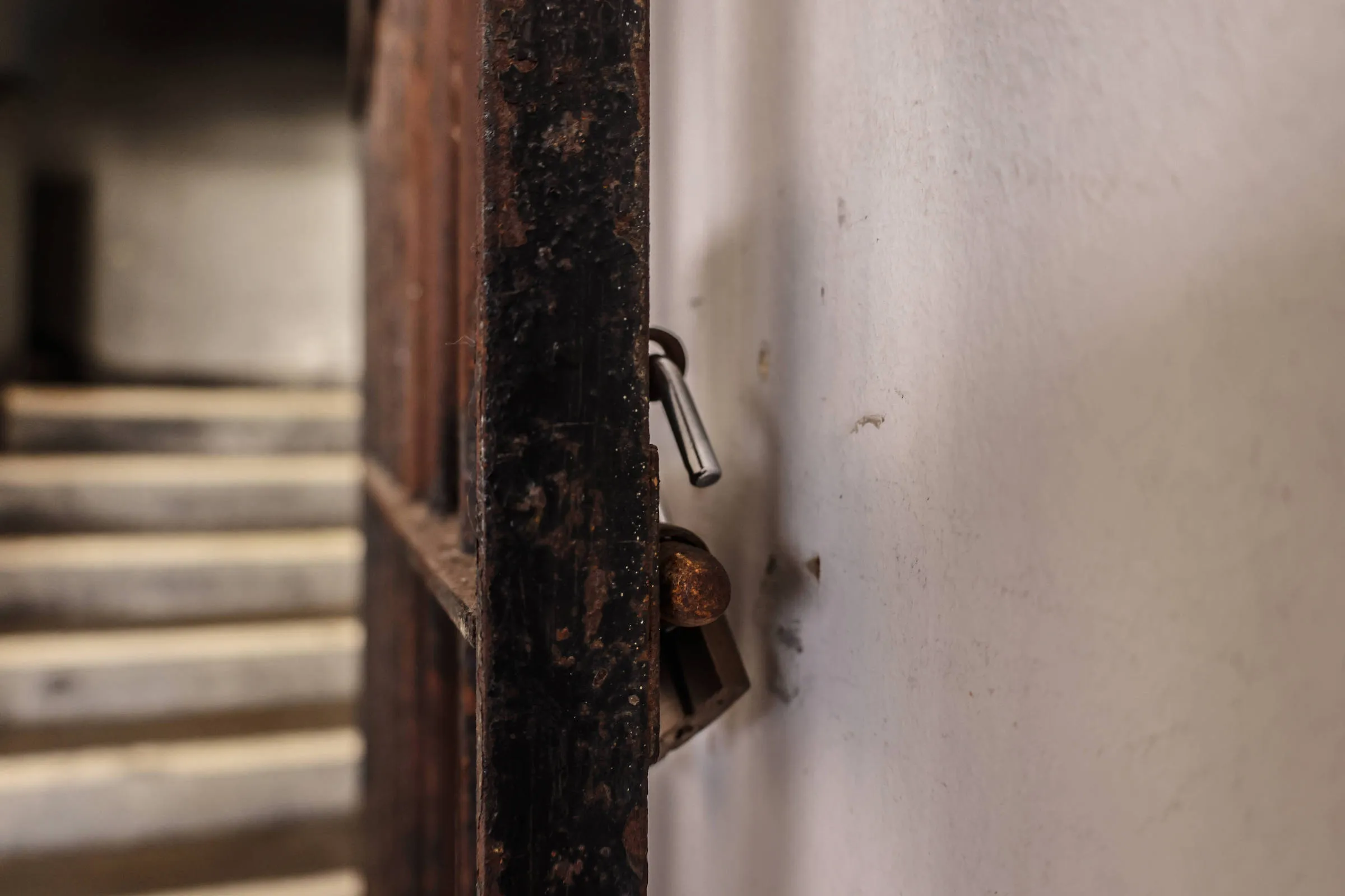 1769799327697cfe9fb832e 1769799327 3x2 Rt