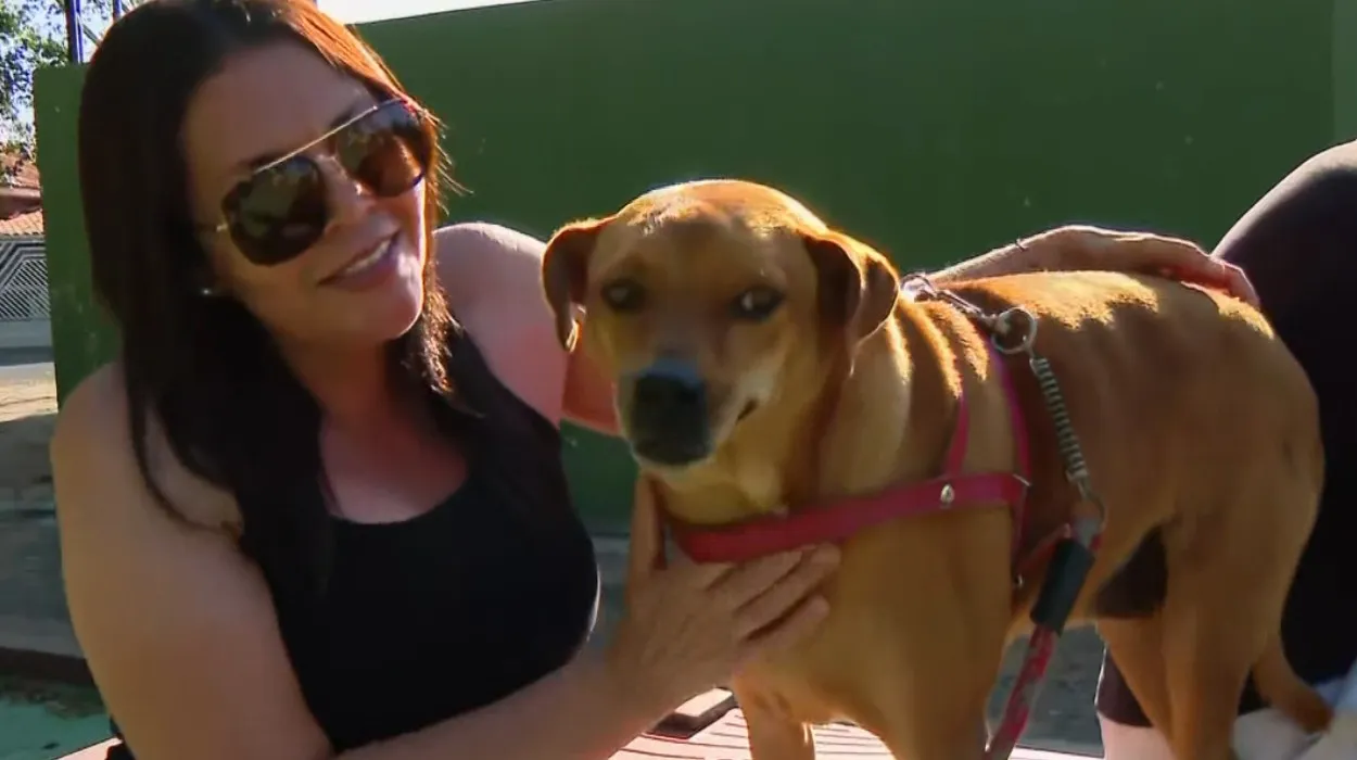 Imagem 1250 Para Materia 24 