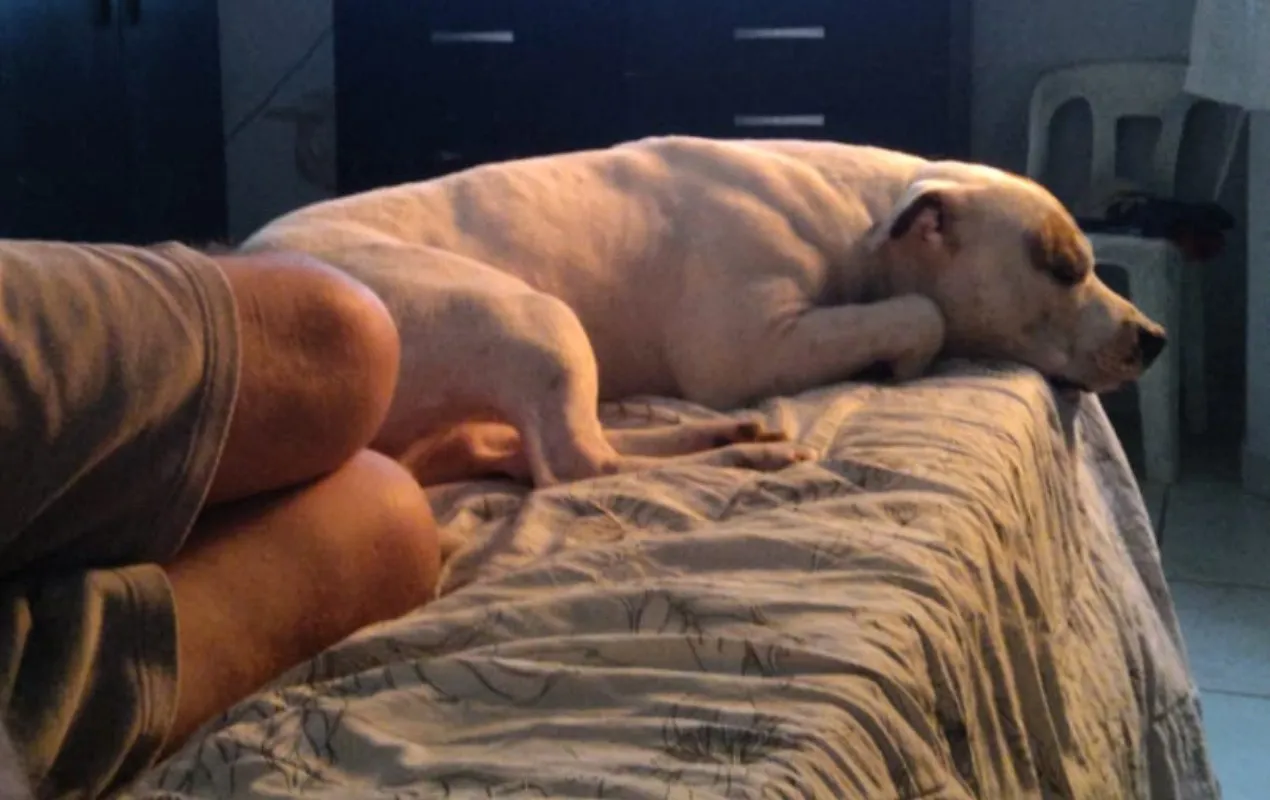 Whatsapp Image 2026 01 07 At 13.25.04