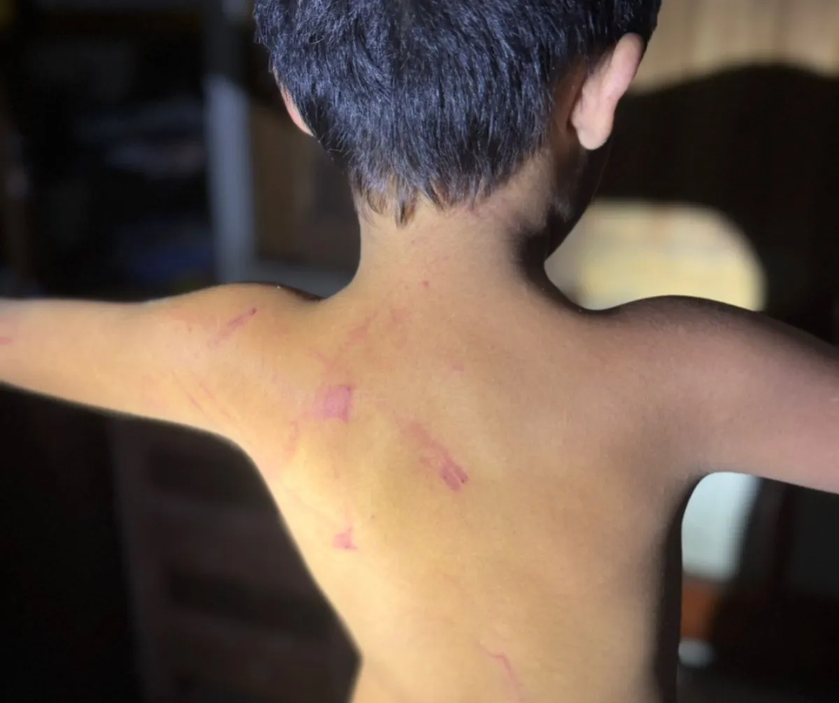 Whatsapp Image 2026 01 12 At 19.23.47