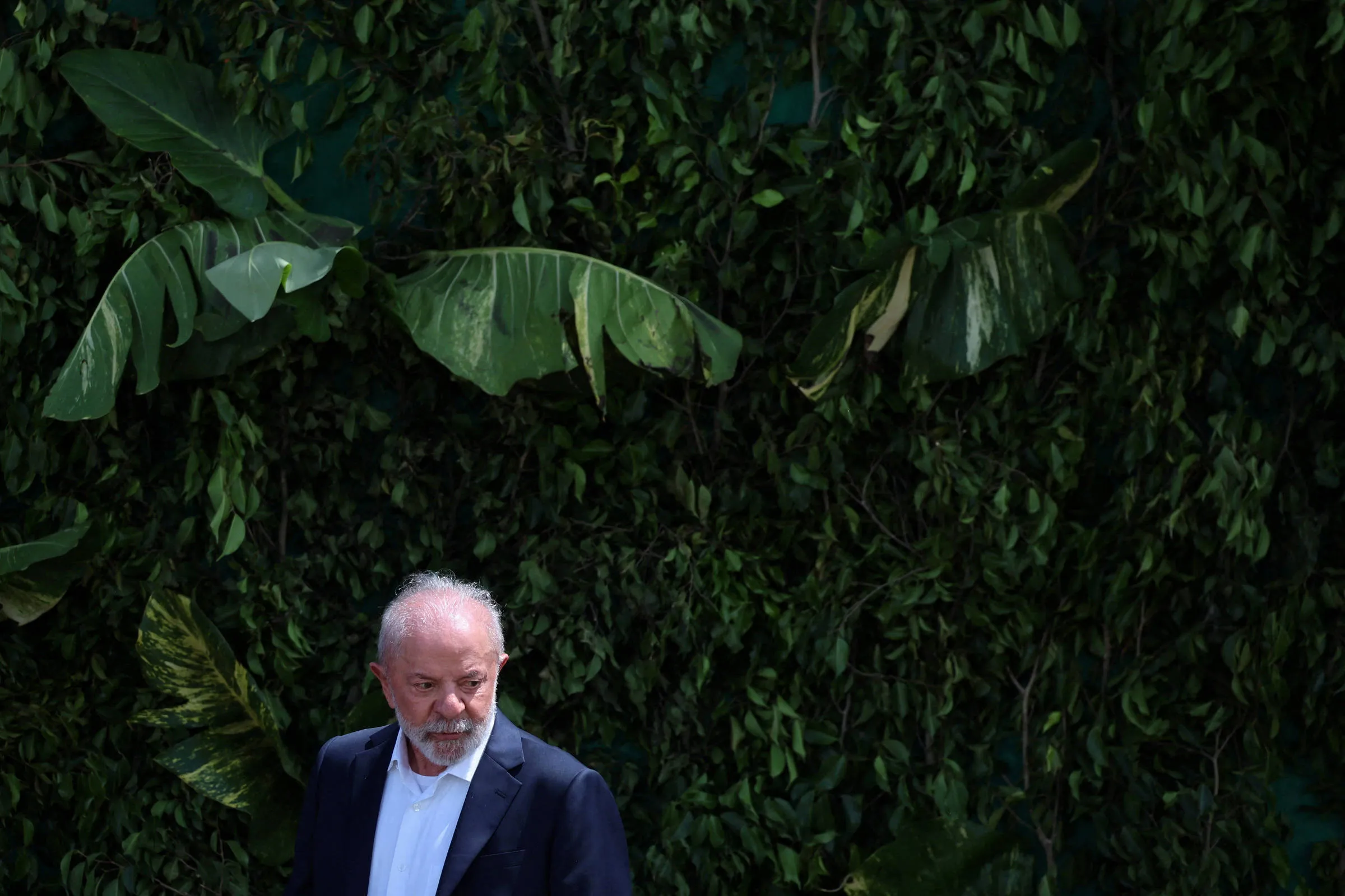 1769721295697bcdcfa681a 1769721295 3x2 Rt