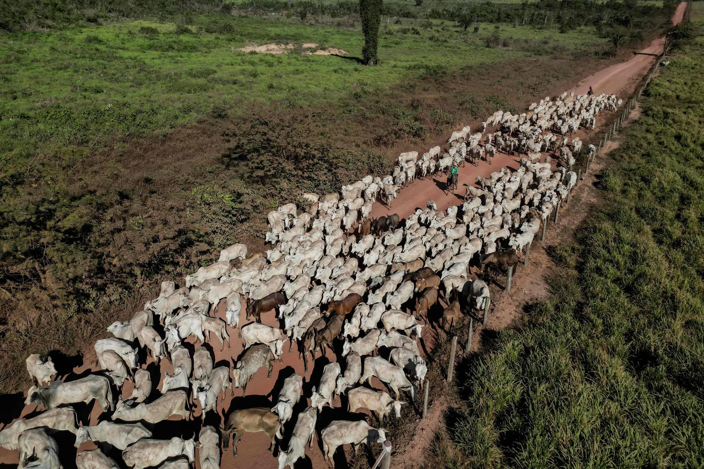 1769722934697bd43603bd0 1769722934 3x2 Rt