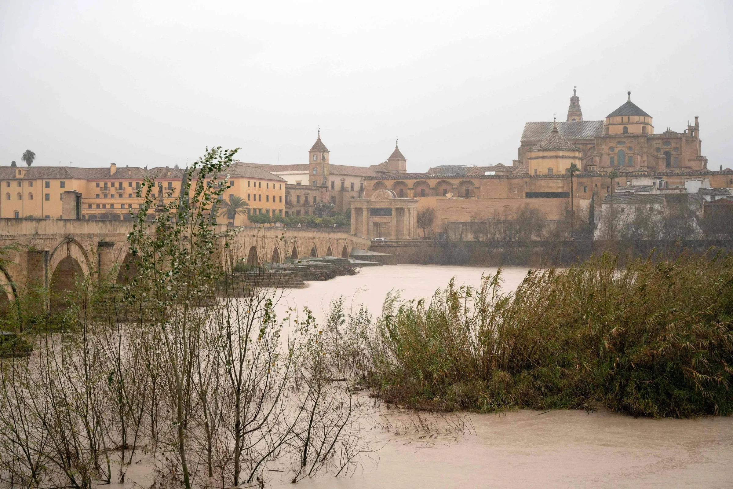 17704816846987681458382 1770481684 3x2 Rt