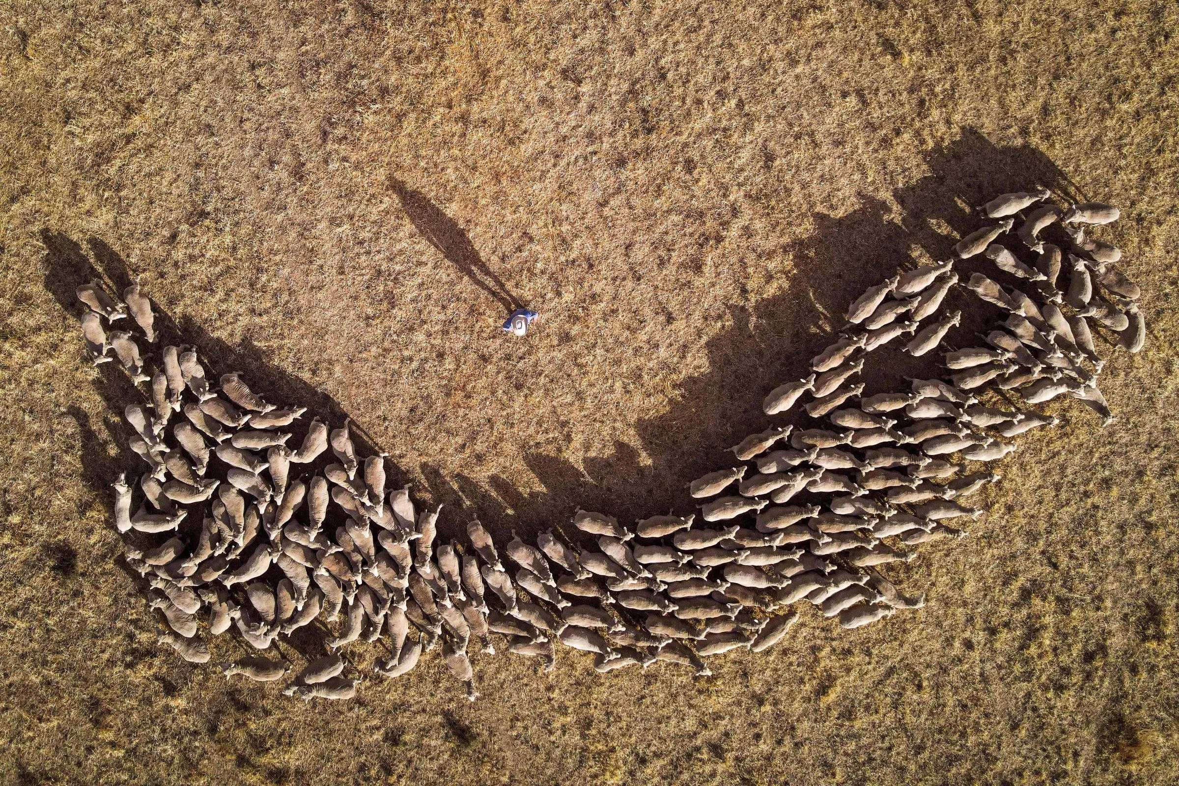 1771002279698f59a72bb25 1771002279 3x2 Rt