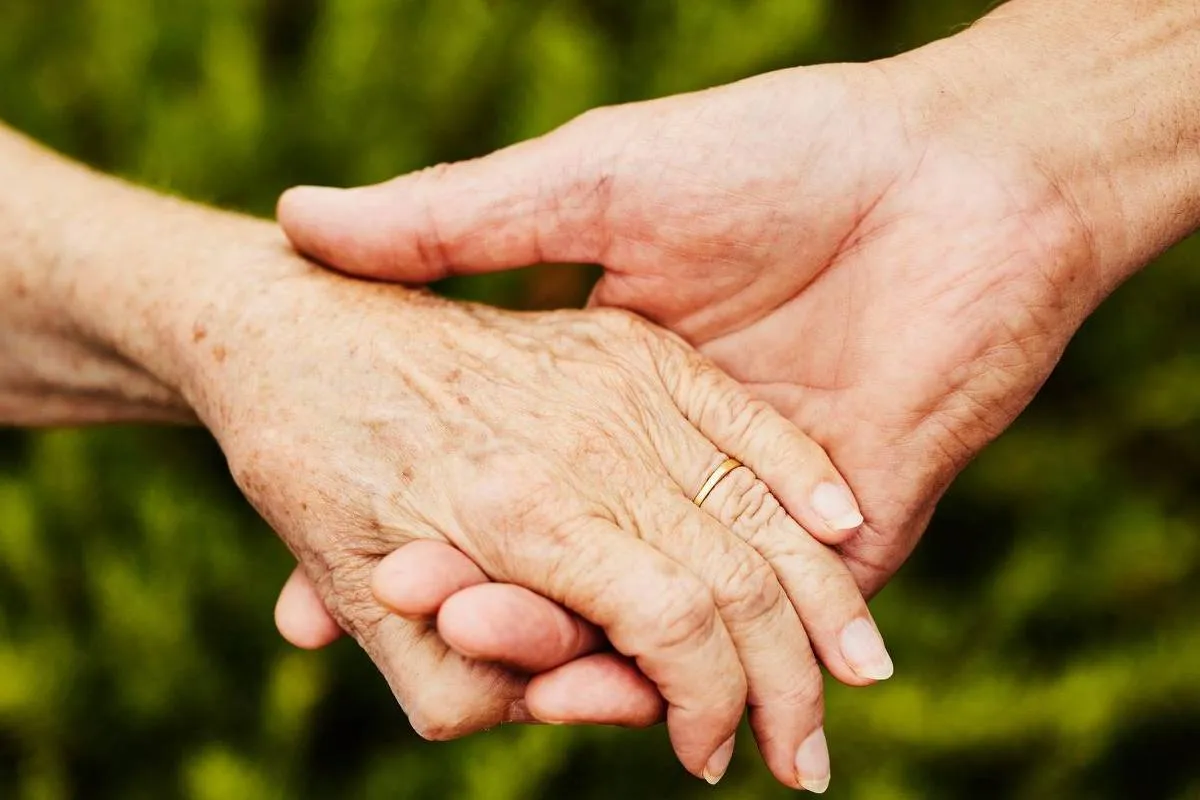 17711083836990f81f15c94 1771108383 3x2 Xl