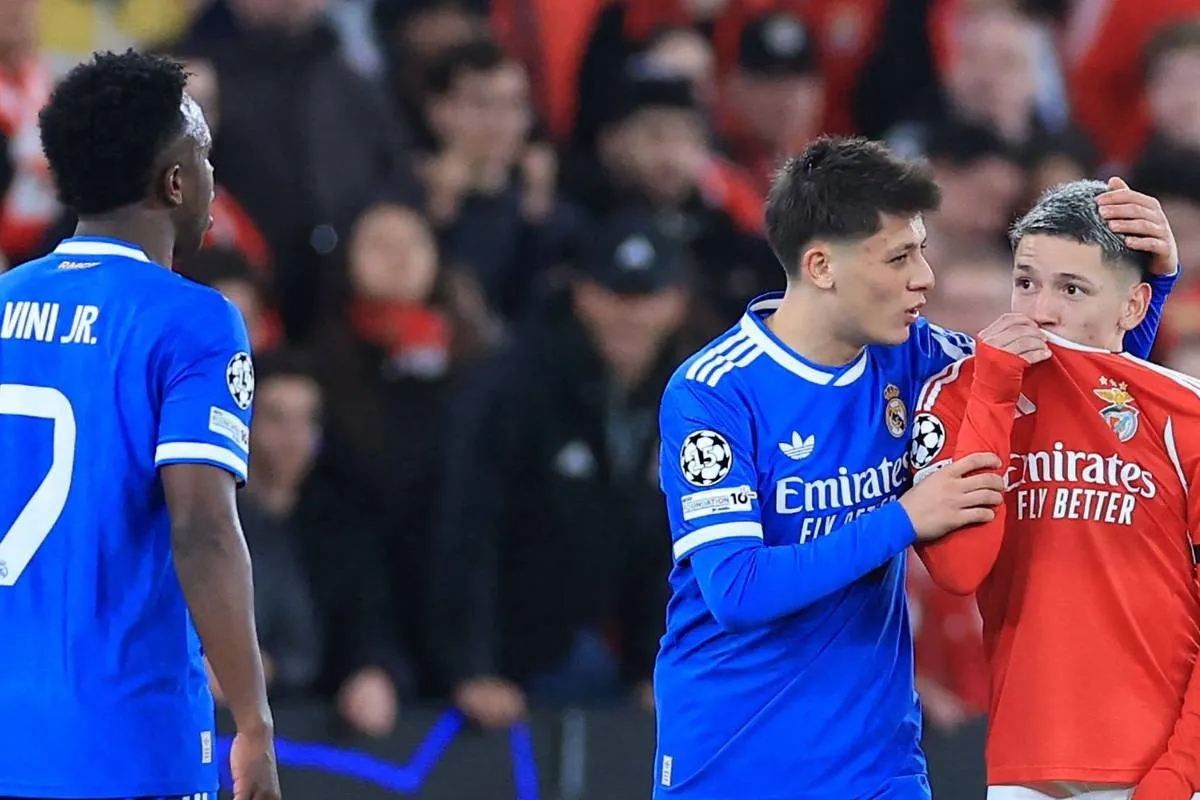 17714267016995d38dcba31 1771426701 3x2 Xl