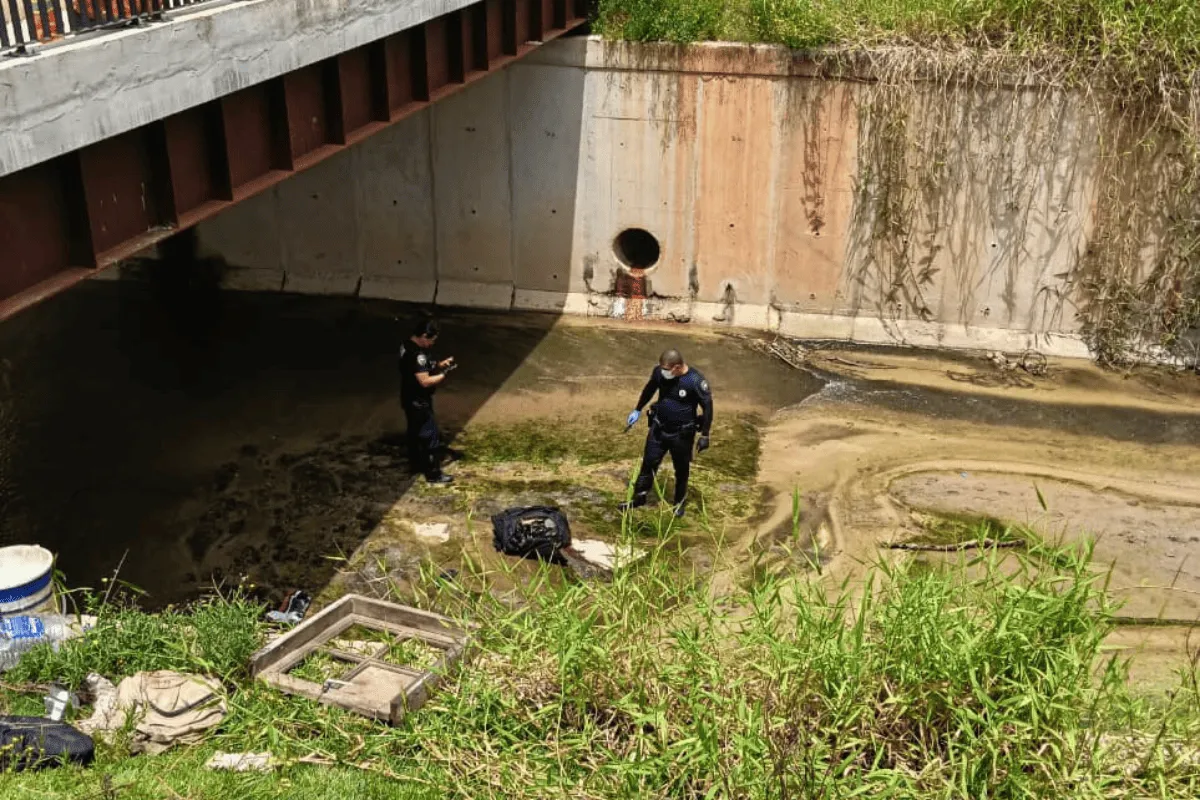 Design Sem Nome 2026 02 19t133246816 1