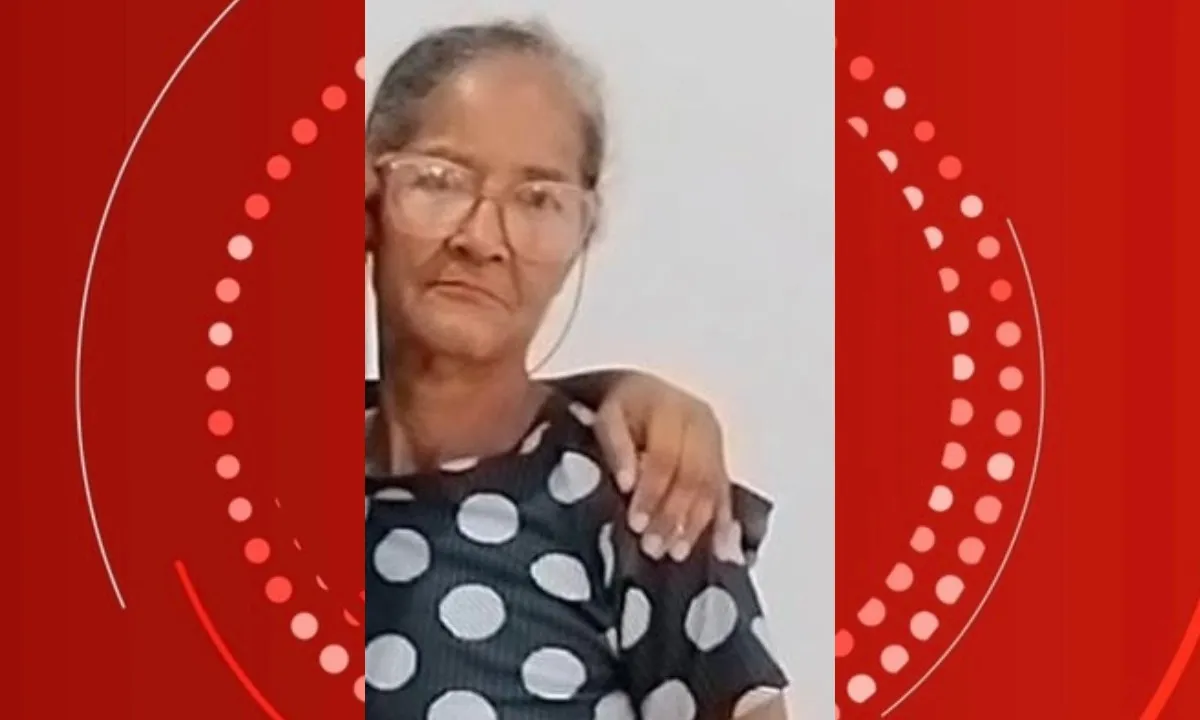 Texto Do Seu Paragrafo 2026 02 18t134441.586