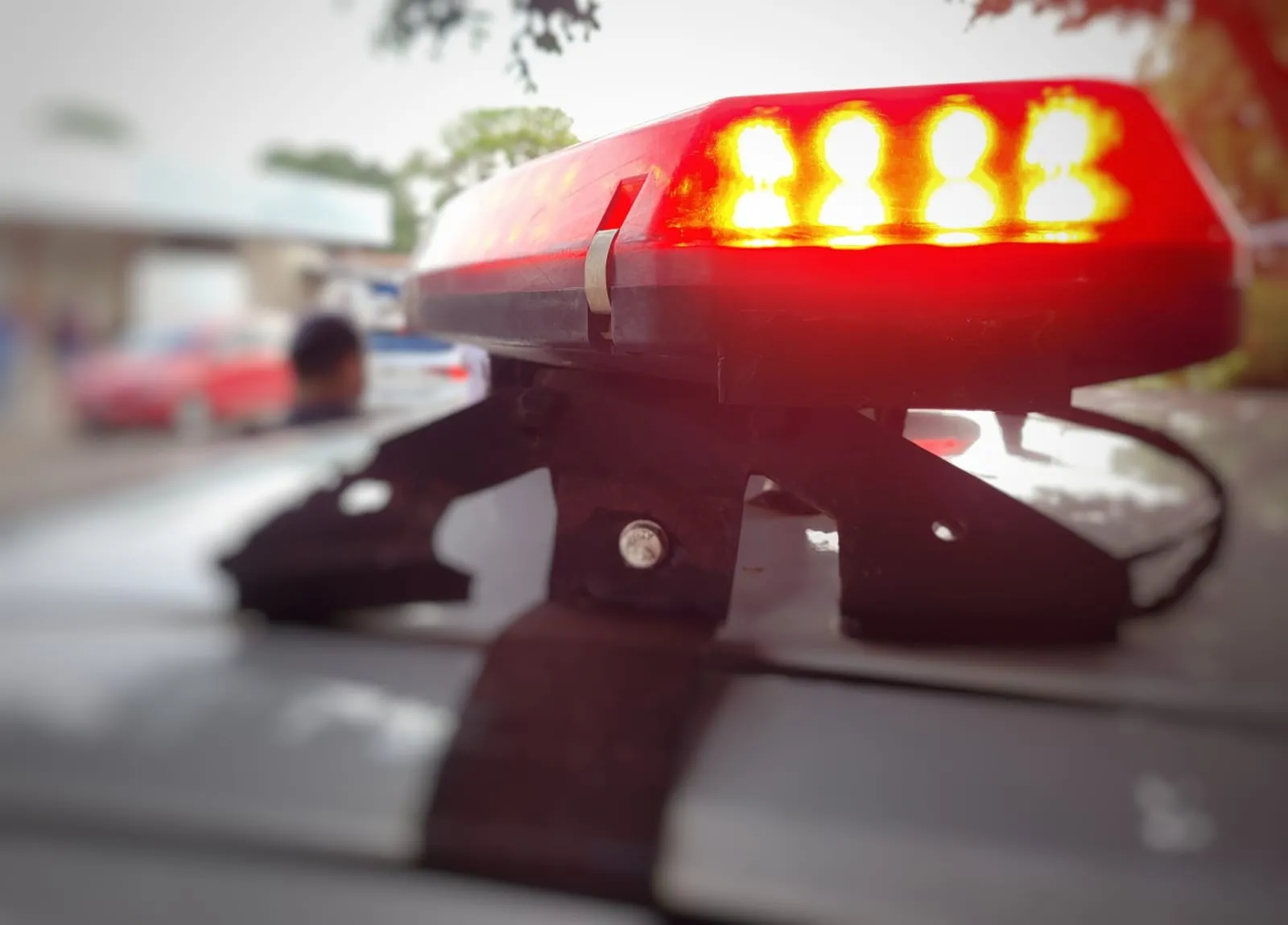 Whatsapp Image 2023 01 25 At 10.10.11